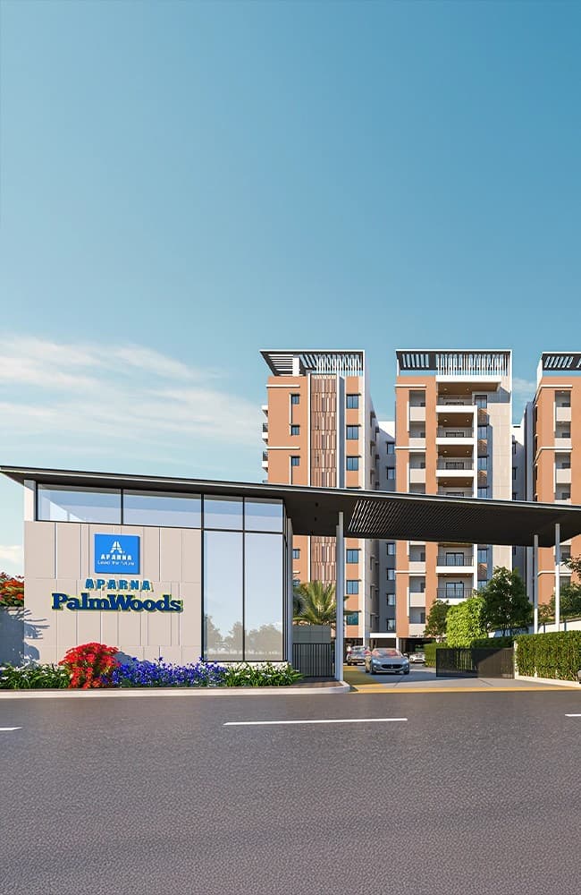 Developer render